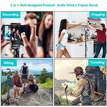 Phone Tripod Stand & Selfie Stick Tripod
